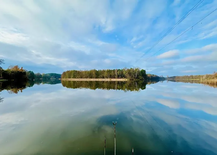 Domek Veli Stawinoga